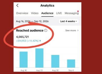 Analitik TikTok NURBELLA: lebih 4 juta capaian dalam 4 minggu